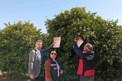 Kozan’da arıların korunmasına yönelik çalışma başlatıldı