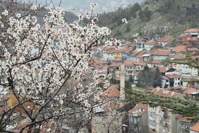 Kütahya’da badem ağaçları çiçek açtı