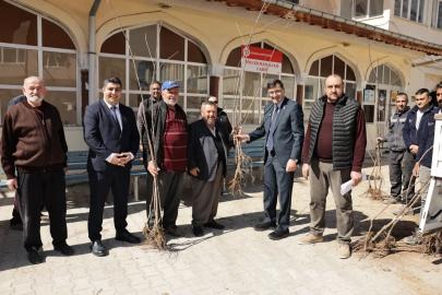 Kütahya’da yerel kiraz türleri yeniden toprakla buluşuyor