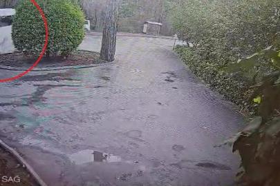 Manavgat’ta servis otobüsü ile hafif ticari araç çarpıştı