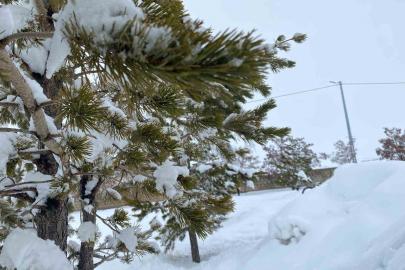 Mart ayında Ağrı’da kar yağışı etkili oldu