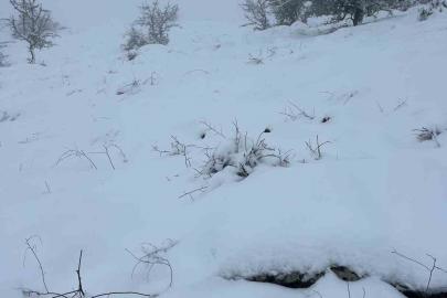 Mart sonunda Karıncalı Dağ’da kar sürprizi