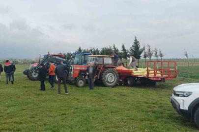 Merada gübreleme çalışması yapıldı