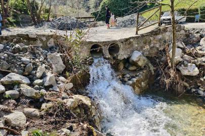 Mesir Tabiat Parkı’na ziyaretçi akını