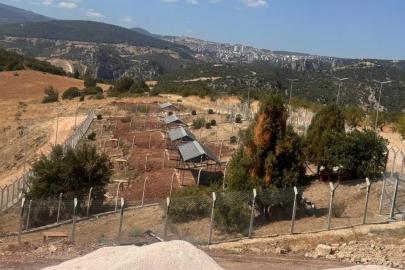 Milyonluk Sokak Hayvanları Doğal Yaşam Alanı ortada kaldı