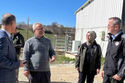 Müdür Ayvalık, üreticilerle tarım ve hayvancılığı inceledi