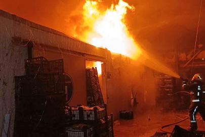 Muz paketleme tesisinde çıkan yangın korku dolu anlar yaşattı