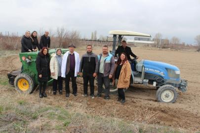 Niğde’de kadın kooperatifleriyle çörek otu ekimi tamamlandı