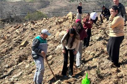 Orman Haftası’nda fidanlar toprakla buluştu