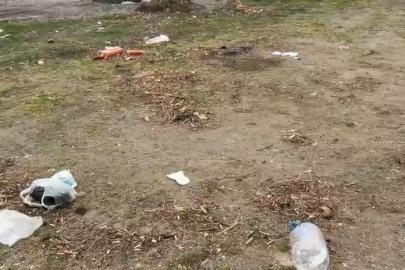 Sahilde çöp tepkisi: ’Karavancılar çevreyi kirletti’ iddiası