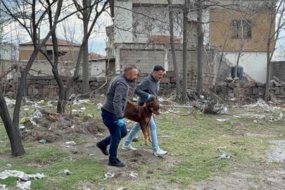 Saldırgan köpeğin resmî olmayan sahibi ortaya çıktı