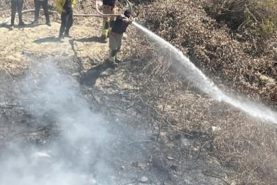 Samandağ’da bahçede çıkan yangın büyümeden söndürüldü