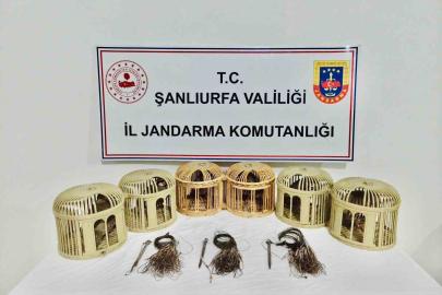 Şanlıurfa’da kaçak keklik avcıları suçüstü yakalandı