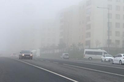 Şanlıurfa’da yoğun sis etkili oldu
