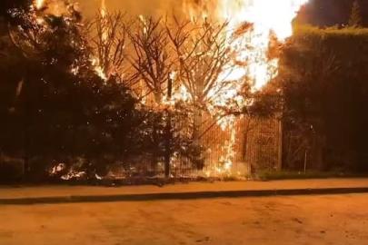 Sebepsiz yere ateşe verilen ağaç itfaiyeyi harekete geçirdi