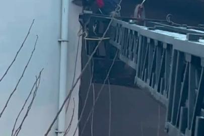 Takıldığı ipte asılı kalan güvercin kurtarıldı