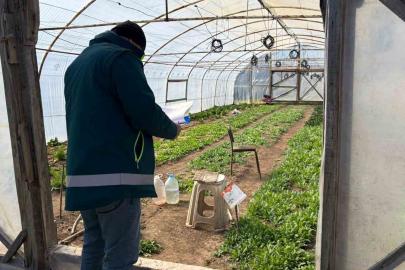 Tavşanlı’da KOBÜKS kapsamında sera kontrolleri