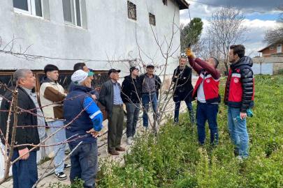 Tavşanlı’da meyve üreticilerine budama eğitimi