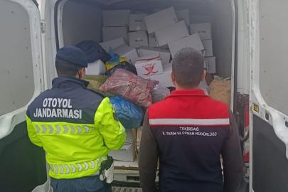 Tekirdağ’da 2 ton baklavaya hazır antepfıstığı imha edildi