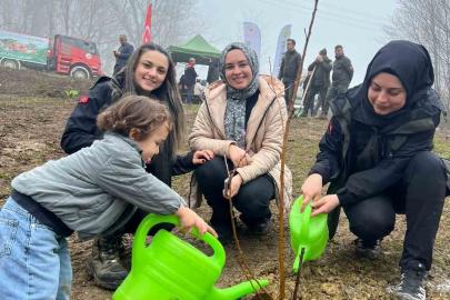 Türkeli’de yüzlerce fidan toprakla buluştu