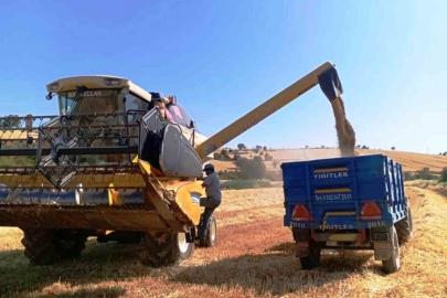 Türkiye’nin yem bitkisi ihtiyacını Samsun karşılıyor
