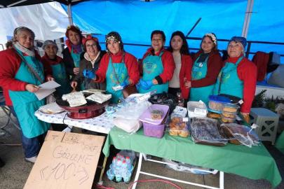 Yağmur dinlemediler: Bodrum Acı Ot Festivali’ne ziyaretçi akını