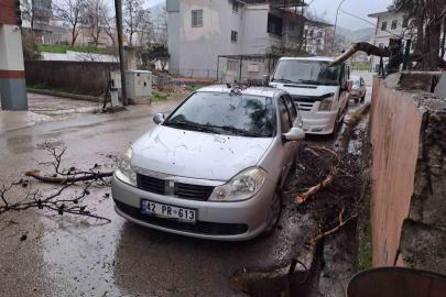 Yağmur ve şiddetli rüzgar çam ağacını devirdi, otomobil zarar gördü