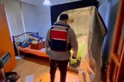 Yalova’da evinde uyuşturucu yetiştiren şüpheli yakalandı