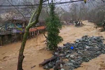 Yalova’da sağanak yağışta dereler taştı, 5 büyükbaş hayvan telef oldu