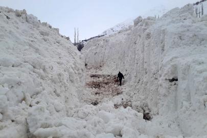 Yüksekova’da çığ meyve bahçelerini yuttu: Köy yolu kar tünelleriyle açılıyor