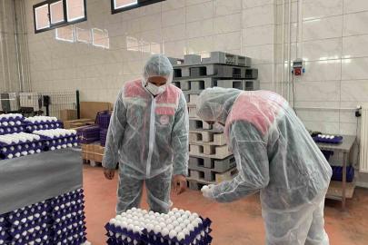 Yumurta paketlemesi yapan işletmelere yönelik denetim