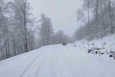 Zirvede kar eğlencesi: Bidonlarla kaydılar, traktörle kızak çektirdiler