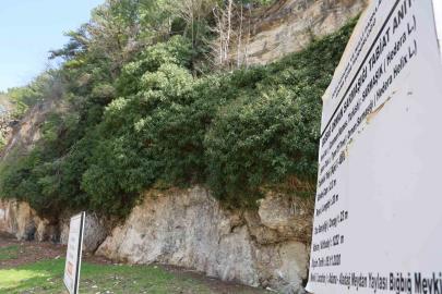 4 bin yıllık sarmaşığın gölgesinde baharı karşıladılar