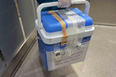 96 yaşındaki kadının bağışlanan karaciğeri bir hastaya umut oldu