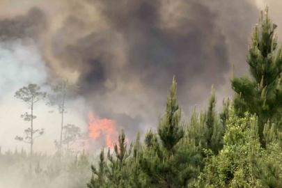 ABD’de orman yangınları: 54 ev ve 27 bin dönümlük alan küle döndü