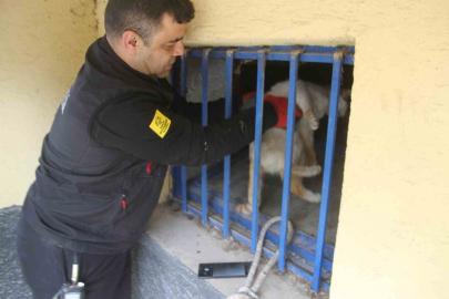 Açlıktan bitkin düşen kedi itfaiye ekiplerince kurtarıldı