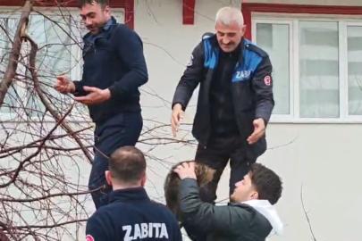 Ağaçta mahsur kalan kediye zabıtadan kurtarma operasyonu