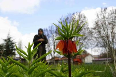 Ağlayan gelinler 5 yıl sonra baharı karşıladı