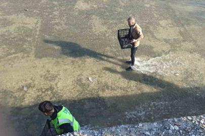 Akıntıya kapılan balıkları yakalamak için birbirleriyle yarıştılar