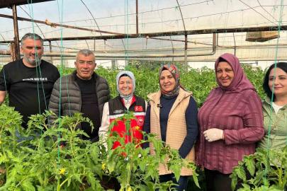Aksu’da örtü altı tarımda yıllık yaklaşık 370 bin tonluk rekoltenin tamamı kadın çiftçilerin emeğiyle üretiliyor
