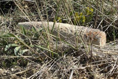 Ankara’da vatandaş mantar ararken patlamamış top mermisi buldu