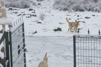 Ankara’ya nisan ayında kar yağdı