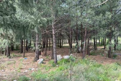 Anne ve oğlunu öldüren katil akrabaların çaldıkları altınları kuyumcuya sattıkları ortaya çıktı