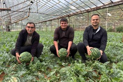Antalya’da  kış karpuzu hasadı için geri sayım başladı