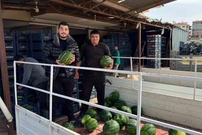 Antalya’da sezonun ilk karpuz hasadı yapıldı