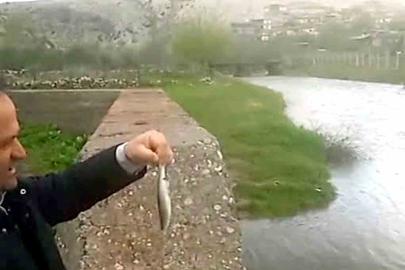 Araban’da Ardıl Çayı yıllar sonra yeniden aktı