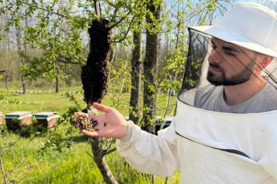 Arıcılara sahada destek