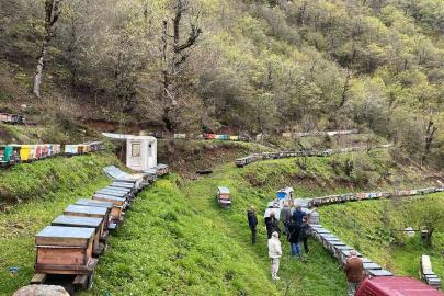 Artvin apiturizmde gelecek vadediyor