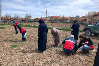 Aslanapa’da çiftçilere yönelik eğitim ve saha çalışmaları gerçekleştirildi