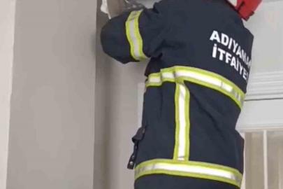 Asma tavanda sıkışan 4 yavru kedi kurtarıldı